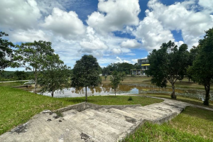 5-300x200 (1)